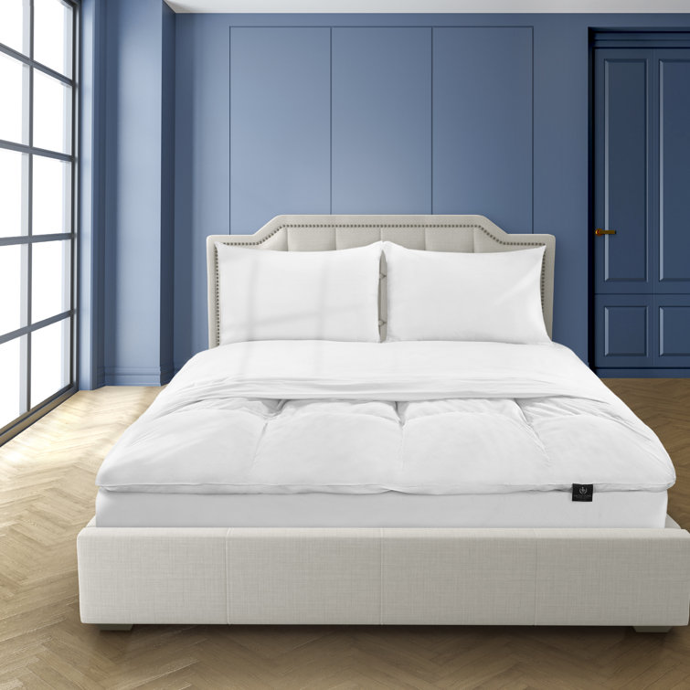 Pacific Coast Feather 4" Feathers Mattress Topper & Reviews Wayfair